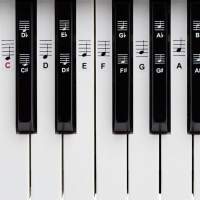 BELFORT® Klavier + Keyboard Noten-Aufkleber für 49 | 61 | 76 | 88 Tasten + Ebook | Piano Sticker-open box